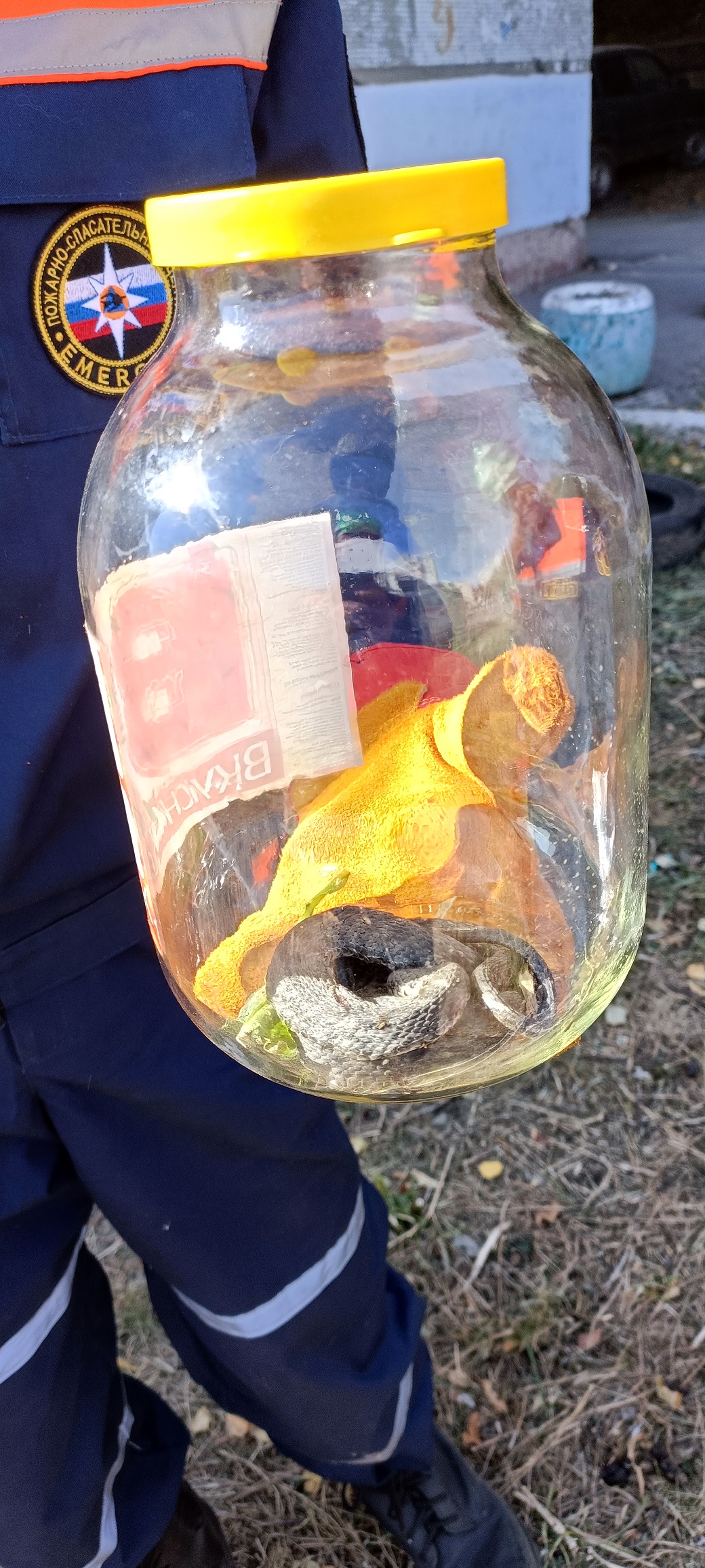 Олег Полумордвинов рассказал, откуда в Пензе взялись змеи