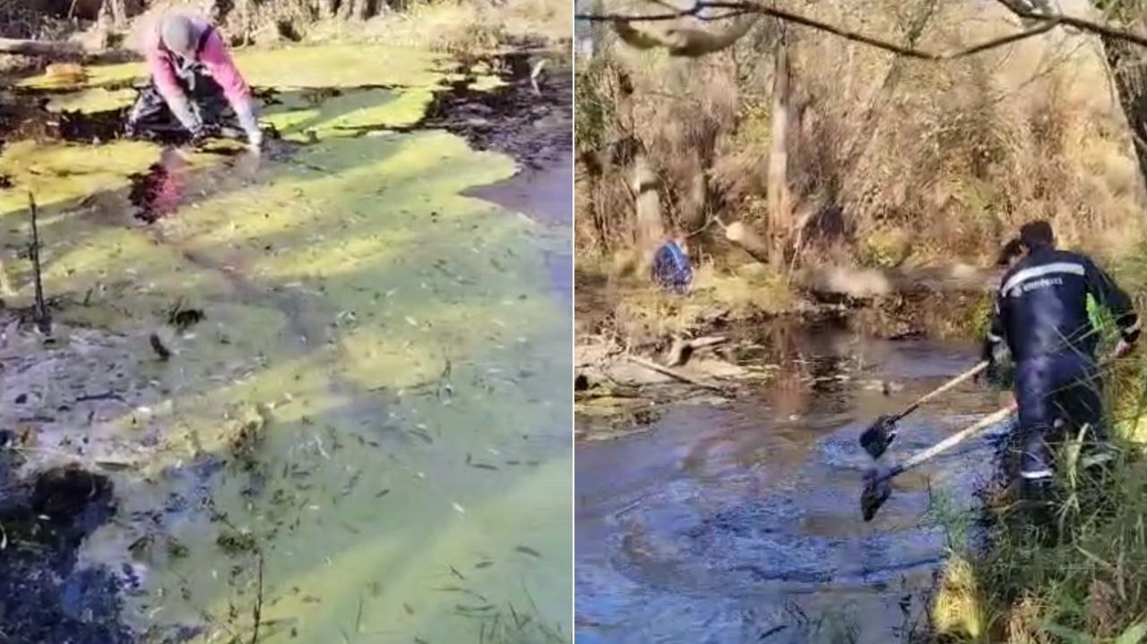 В кузнецком Радищеве ликвидируют последствия разлива нефти