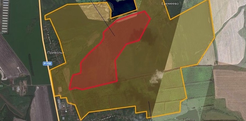 Недалеко от Пензенской области ввели карантин из-за опасного сорняка