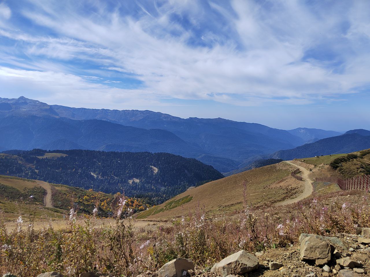 Названы фатальные ошибки, которые привели к гибели пензенского альпиниста Чистякова