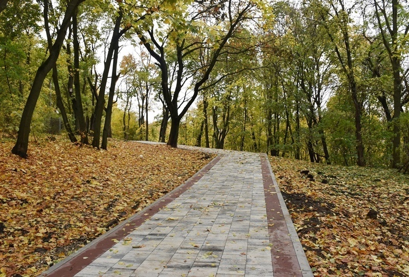 Пензенцы боятся упасть на новой плитке, уложенной на Тропе здоровья