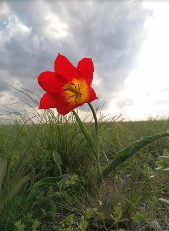 Любой предприниматель в Пензенской области сможет заняться сельским туризмом
