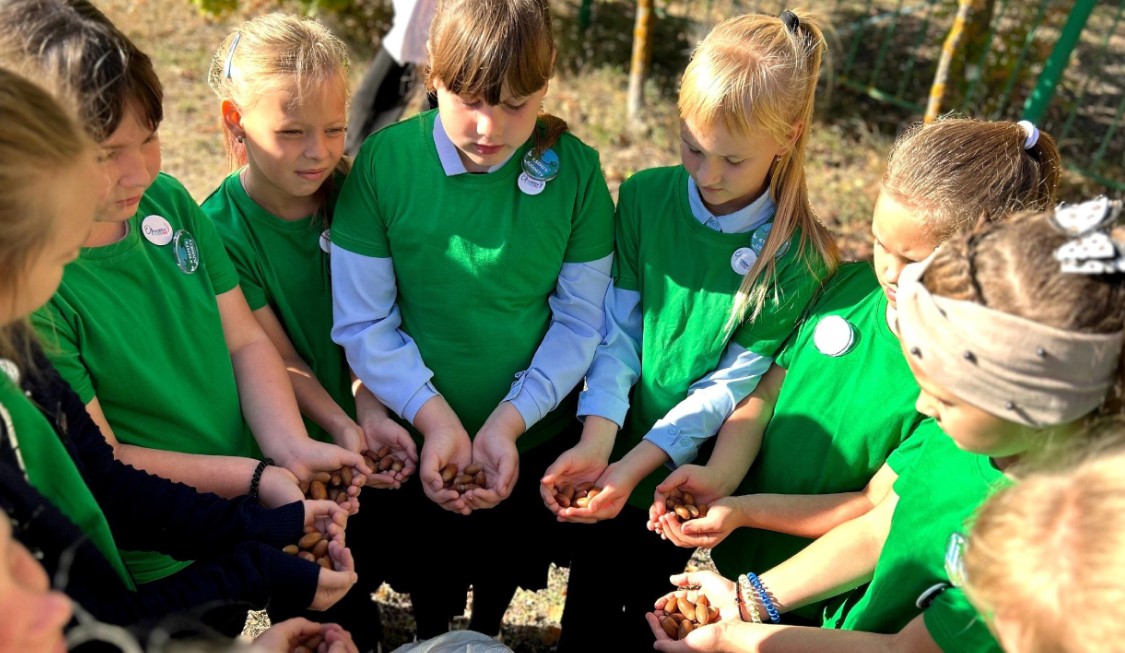 Пензенские лесники собрали рекордный урожай желудей