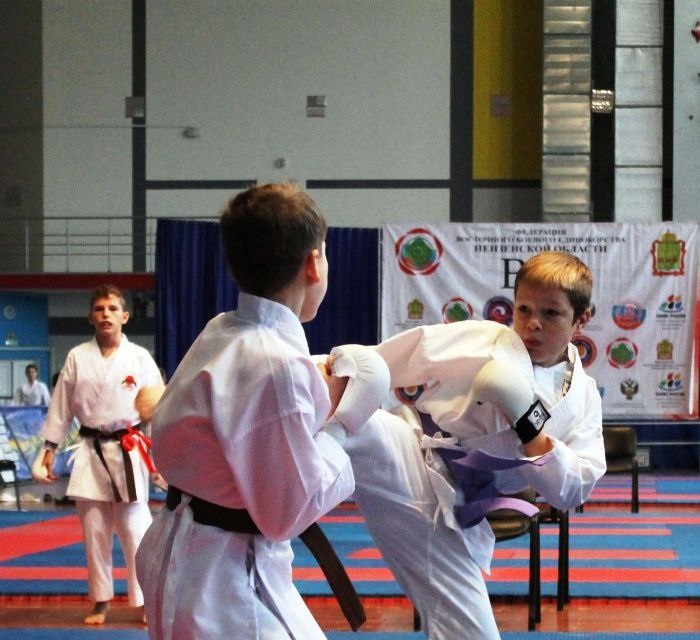 В Пензе разыграли Кубок Воейкова по восточному единоборству