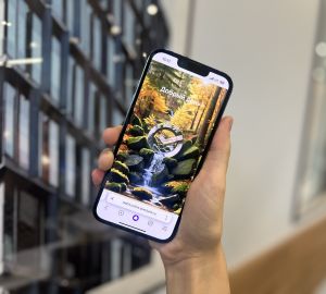 Пользоваться веб-версией СберБанк Онлайн стало ещё удобнее