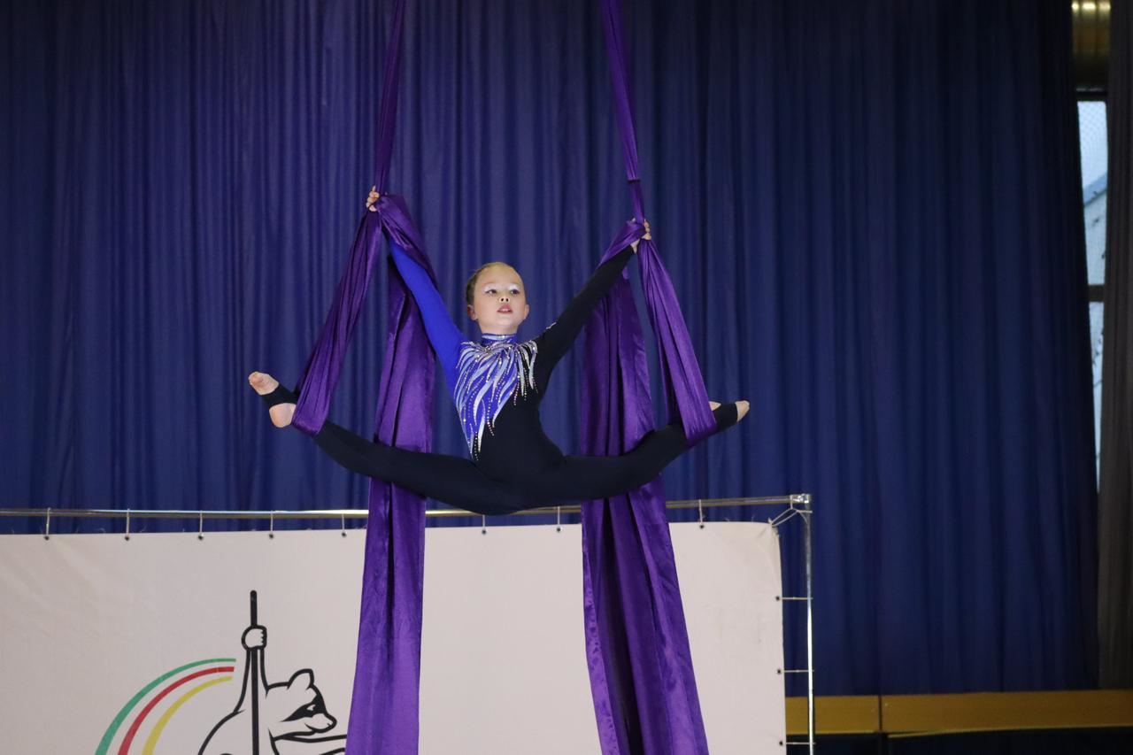 В Пензе прошли соревнования по пилонному спорту и воздушной гимнастике