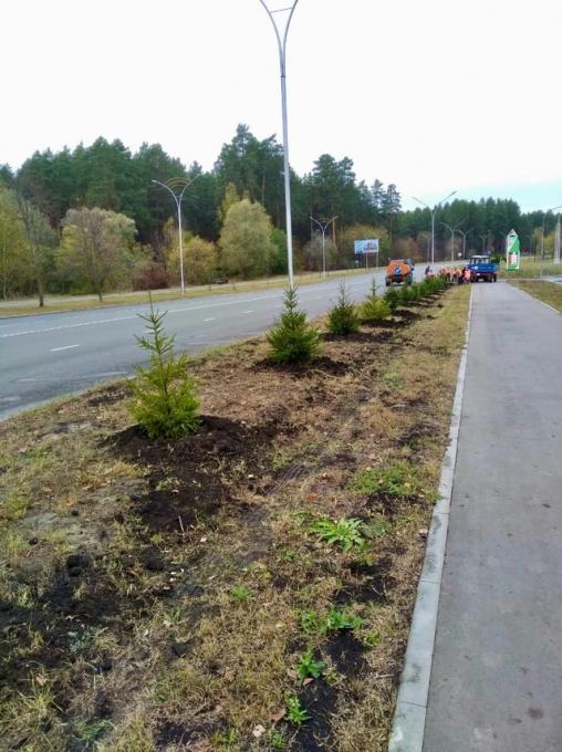 В Заречном высадят более 160 деревьев