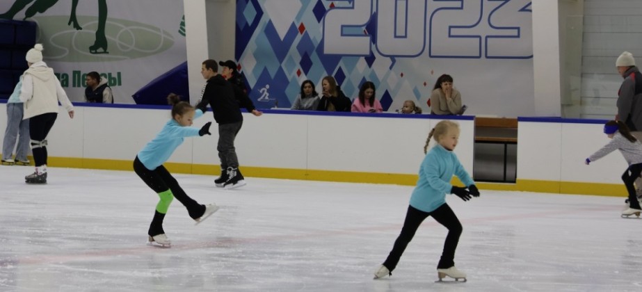 Пензенцам пояснили, почему закрыт ледовый дворец «Хрустальный»