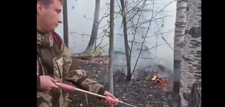 В Шемышейском районе потушен крупный лесной пожар, но угроза сохраняется