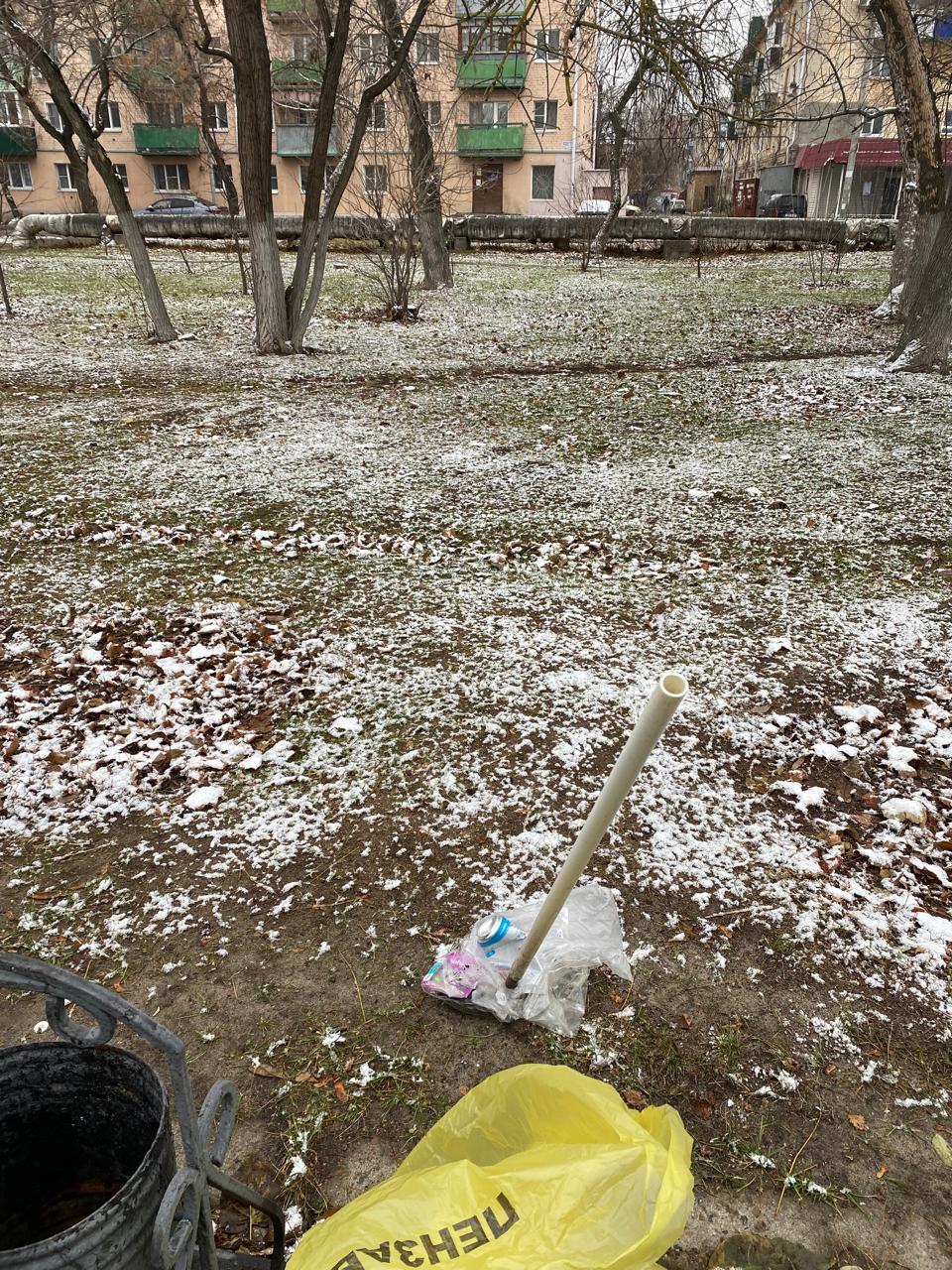 Сквер «Дружба» в Пензе может быть благоустроен в 2026 году