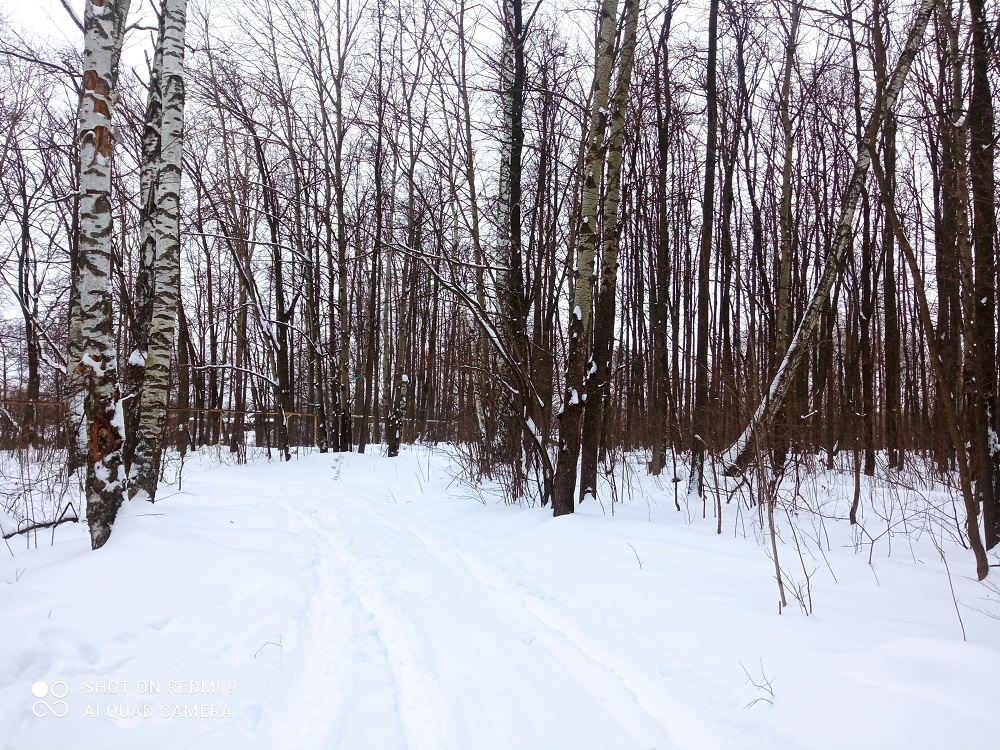 Игра в снежки едва не обернулась трагедией в Городищенском районе