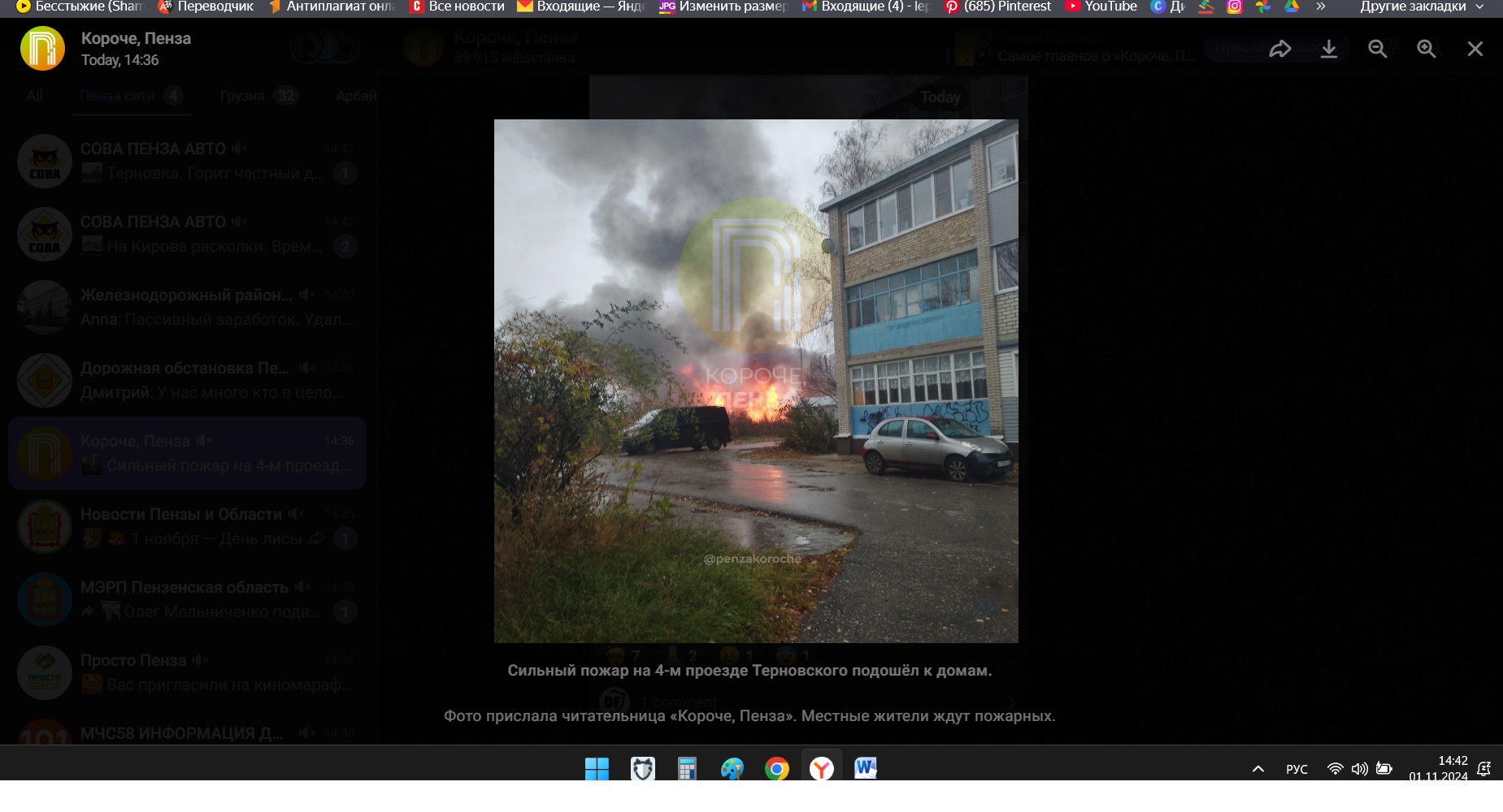 В Терновке пензенцы опасаются подступления пожара к многоквартирным домам