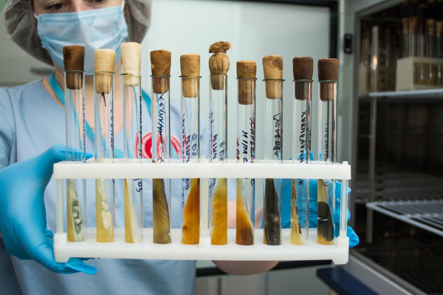 Эксперт объяснила пензенцам опасность антибиотикорезистентности