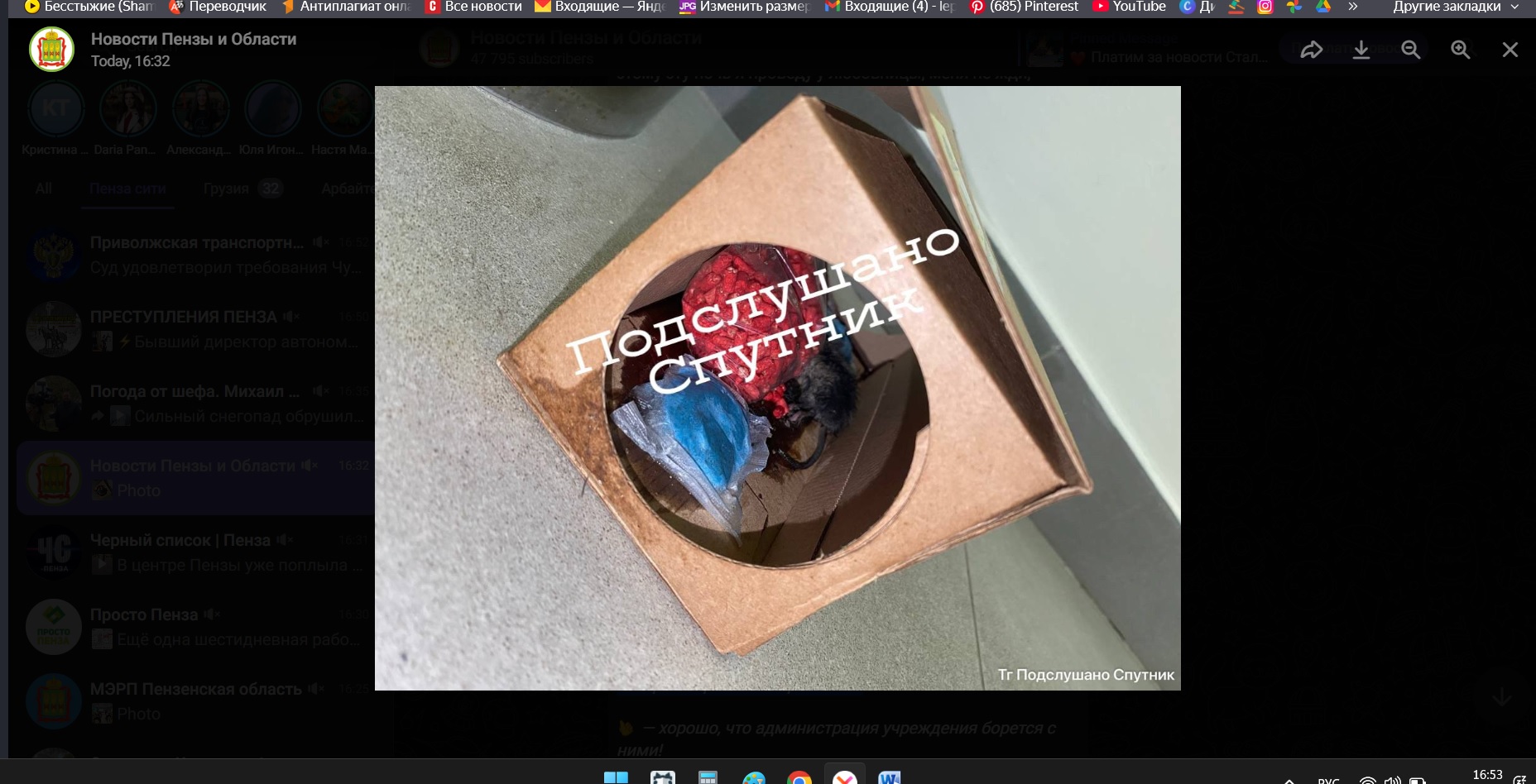 Пензенцы пожаловались на мышей, поселившихся в школе в Засечном