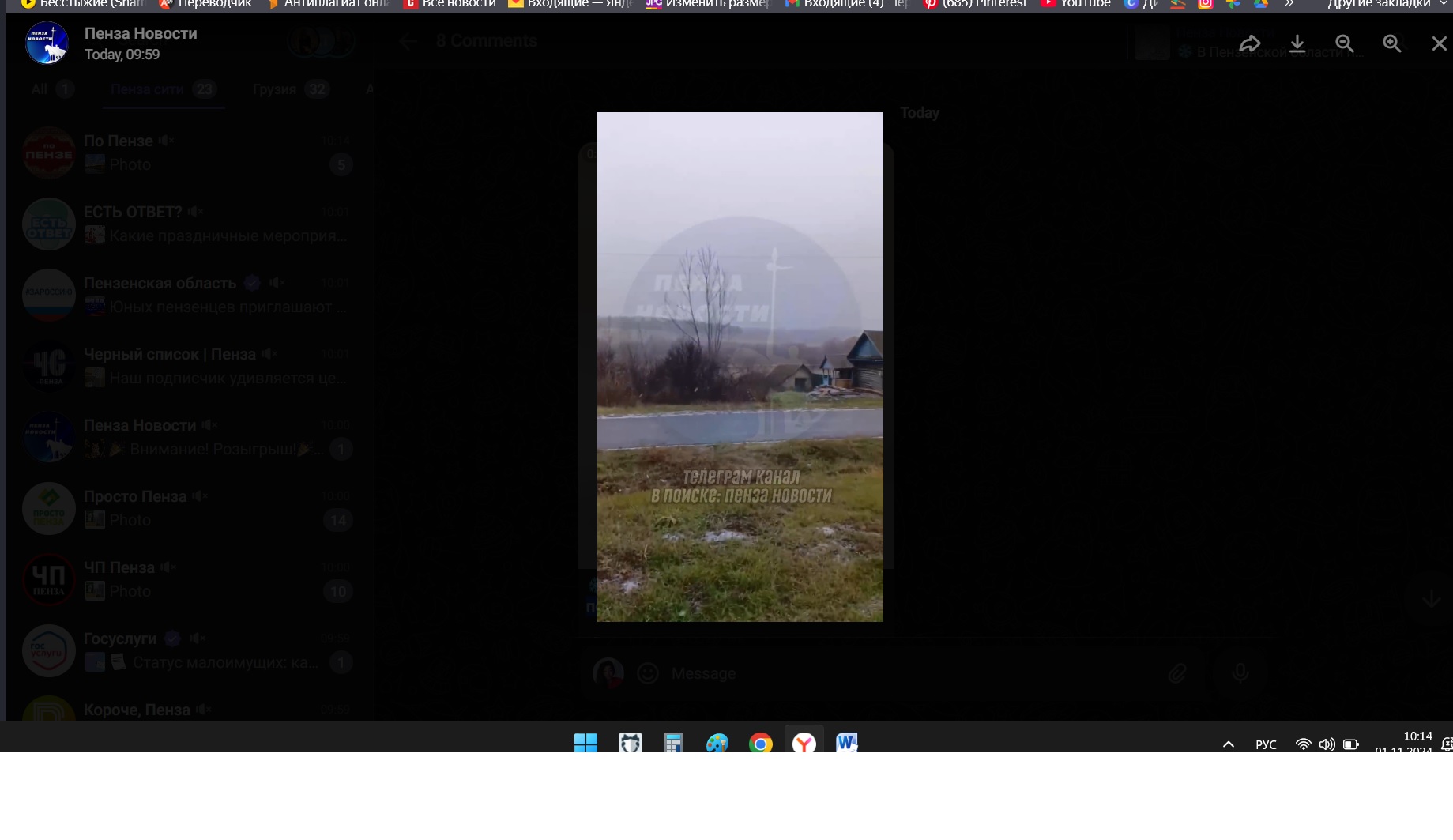 В Пензенской области выпал первый снег