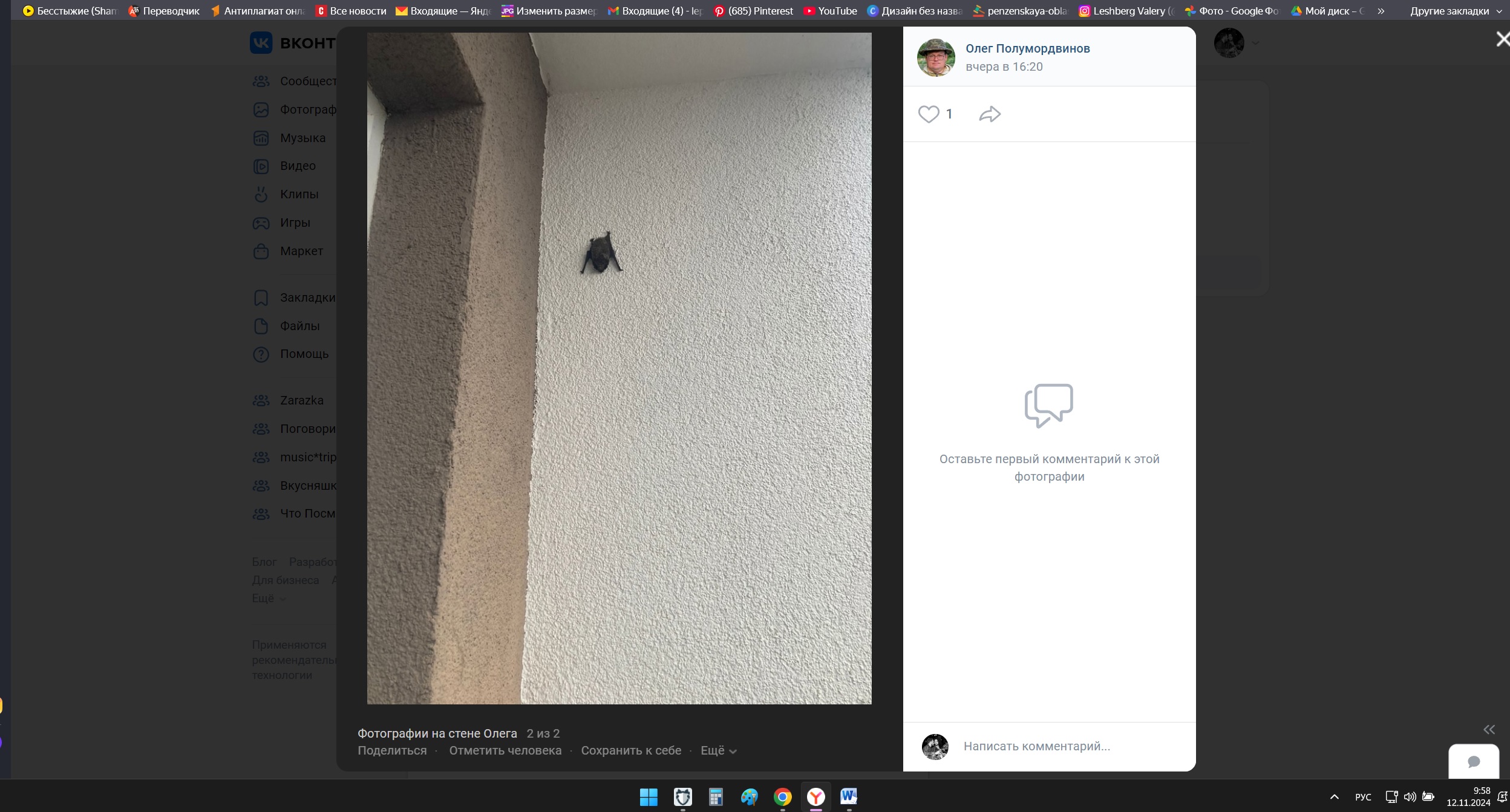 Пензенцев попросили не выгонять залетевших в квартиру летучих мышей