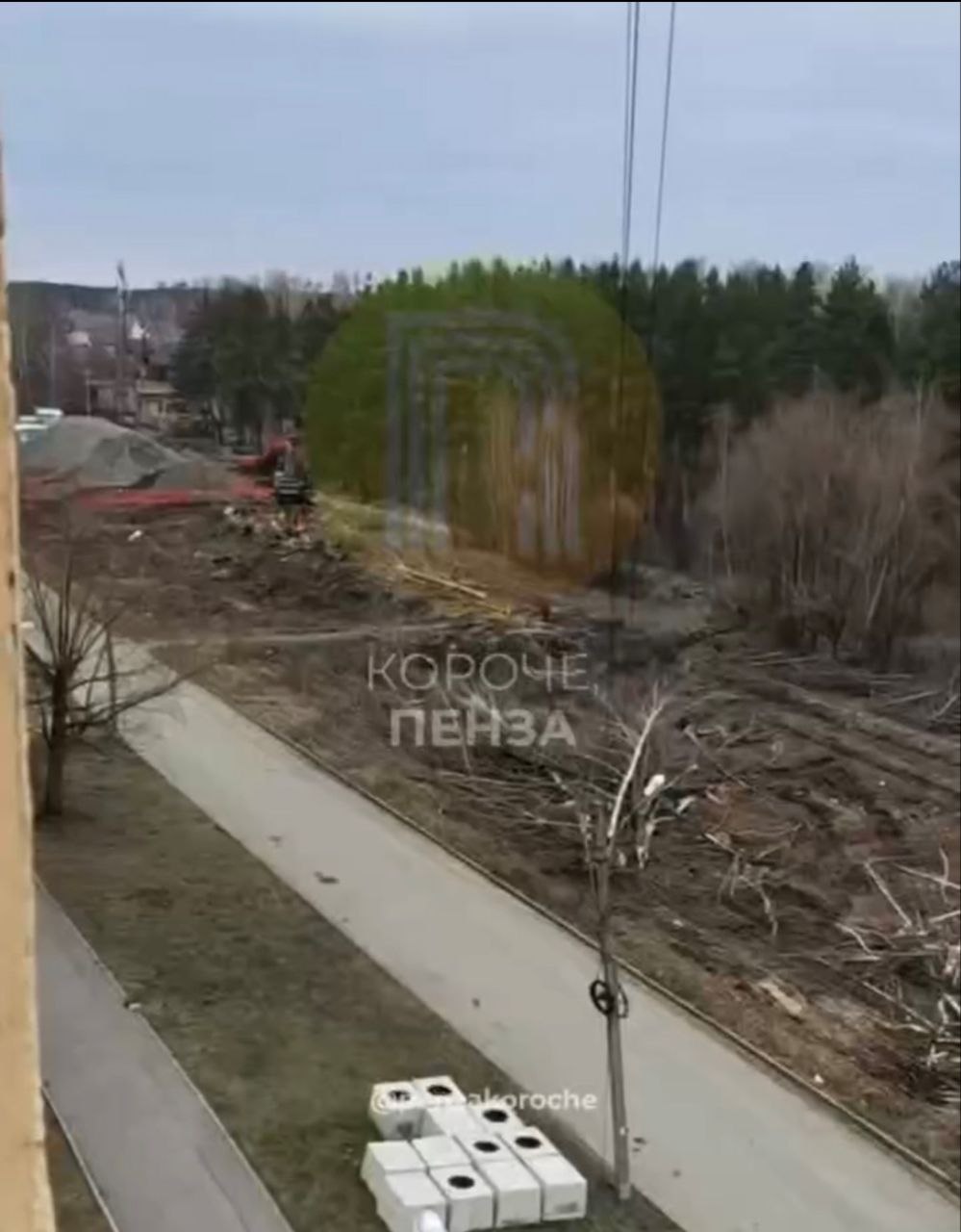 В Пензе начали расчистку бурелома у сквера «Семейный»