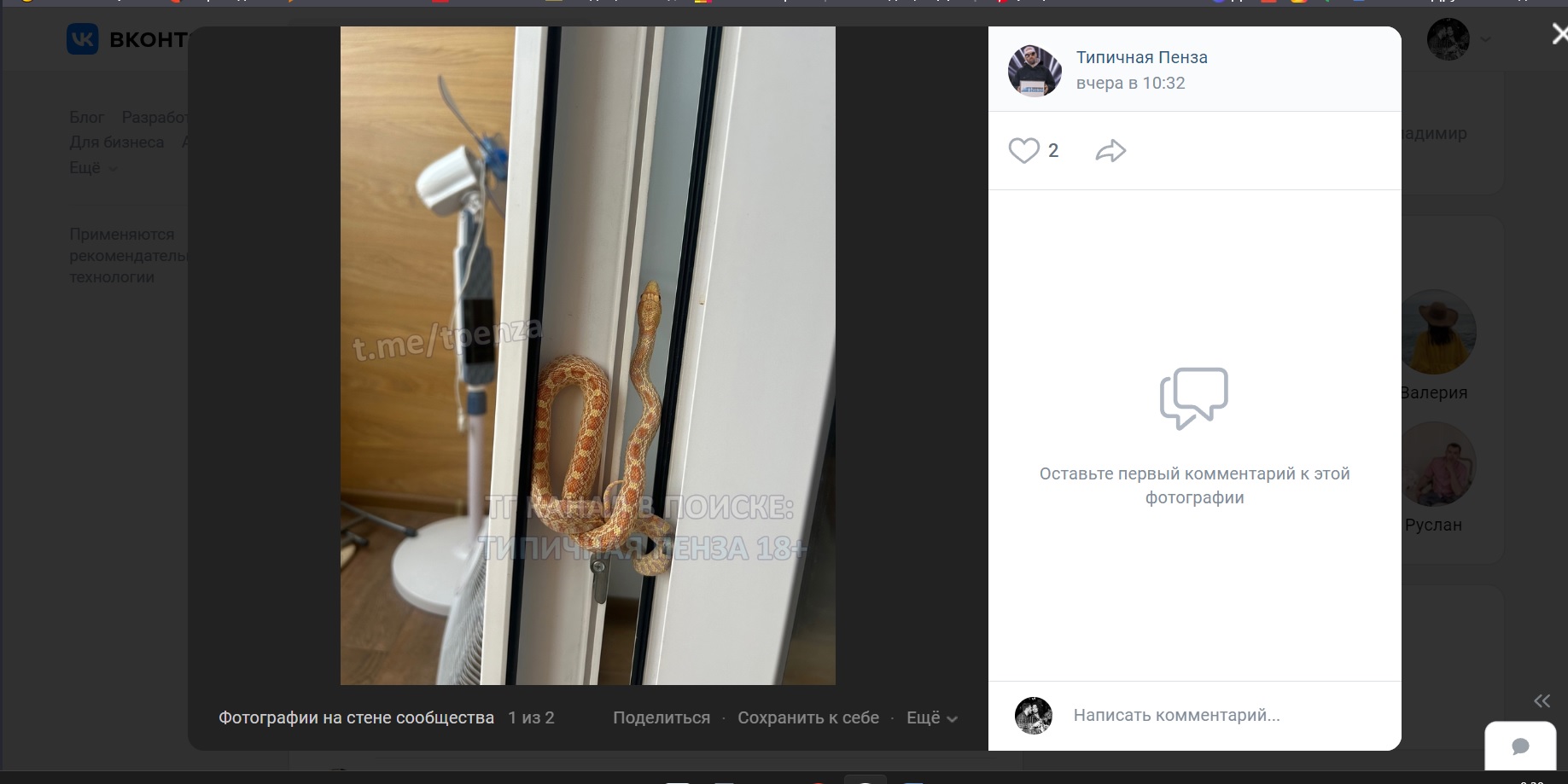 В Пензе жители 3-го проезда Рахманинова нашли в своей квартире змею