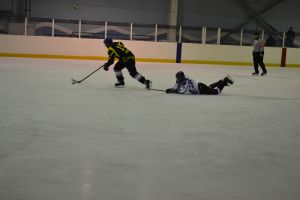 Пензенцы требуют перемен в хоккейном клубе «Дизель»