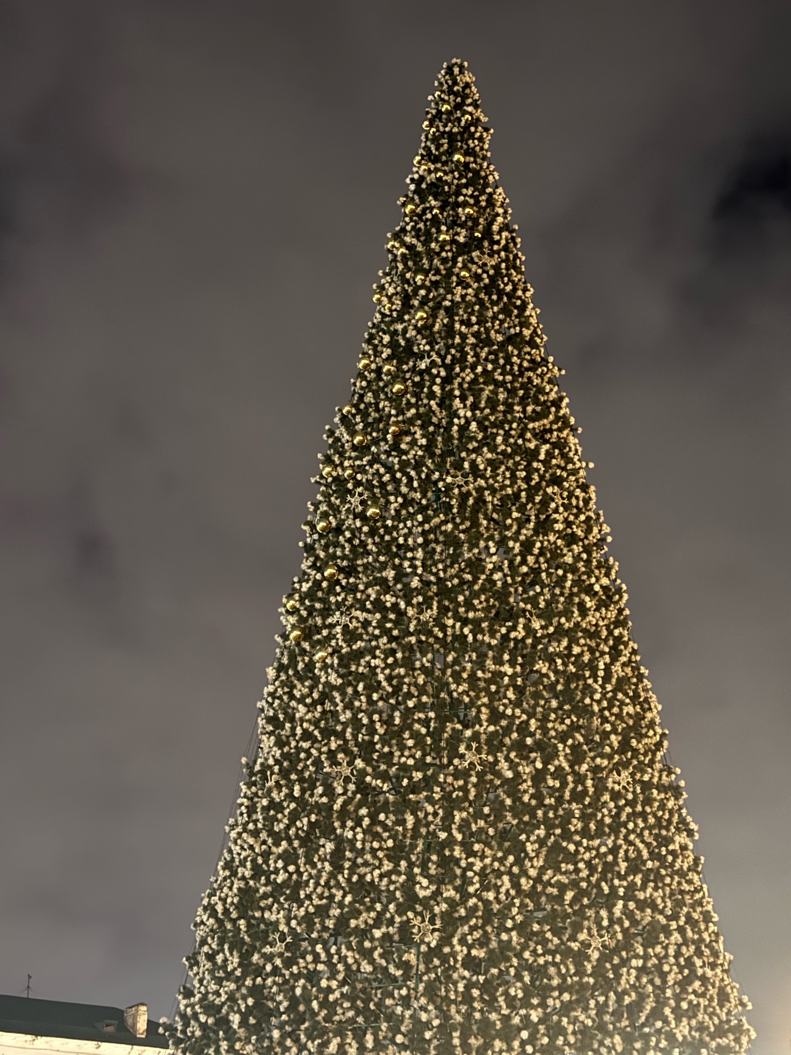 В Пензе наряжают главную новогоднюю елку