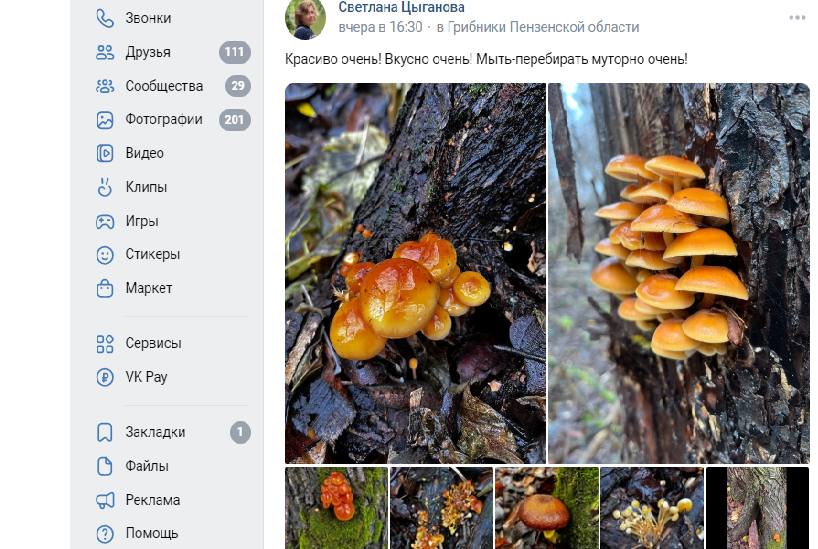 Пензенцы открыли сезон зимних опят