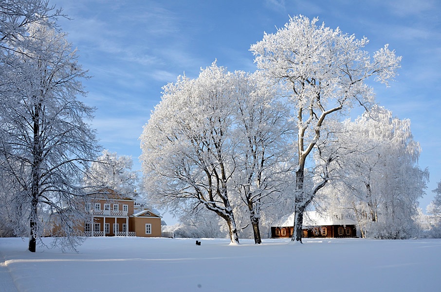 Пензенский заповедник «Тарханы» может появиться на новой купюре в 1000 рублей