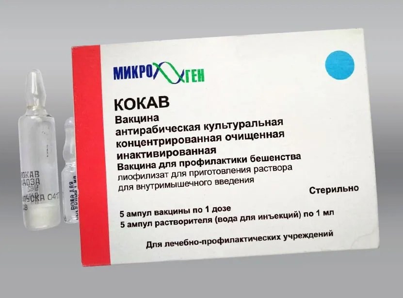 В Сердобск привезли 40 доз вакцины от бешенства