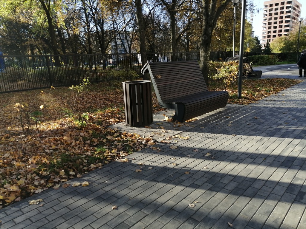 Пензенский энтомолог раскритиковал уборку листьев в пензенских парках