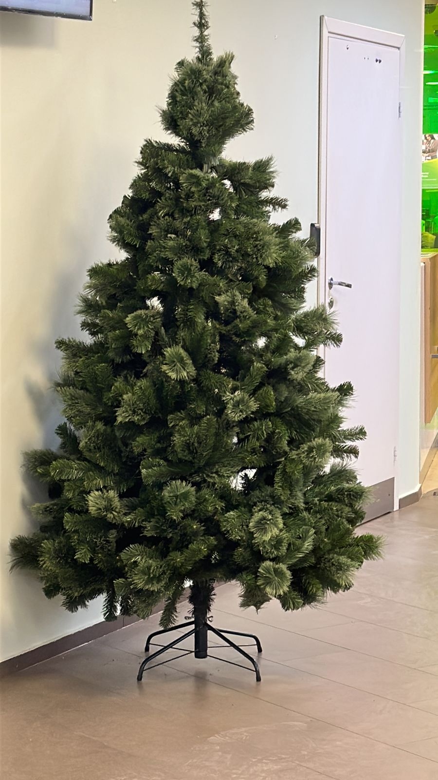 В Пензе хотят открыть 89 точек по продаже елок