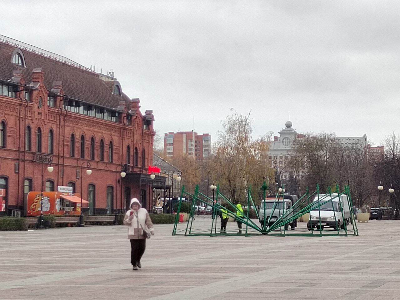 В Пензе начался монтаж главной новогодней елки