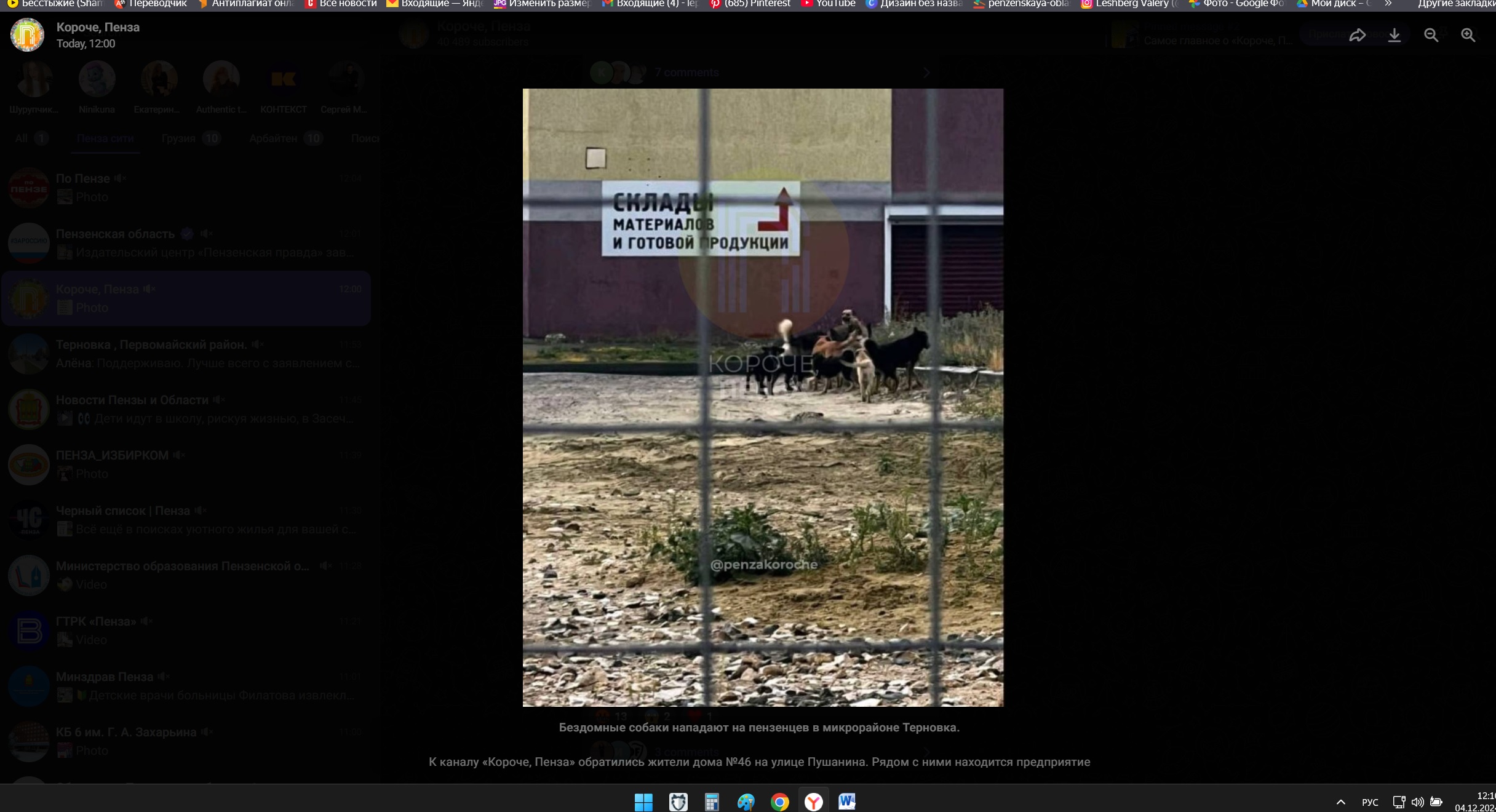 В Терновке бездомные собаки продолжают нападать на людей