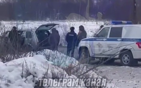 В Пензе задержали «охотников» за новогодними елями