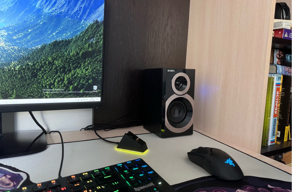 Пензенцев могут наказать за старые комментарии, пропагандирующие чайлдфри