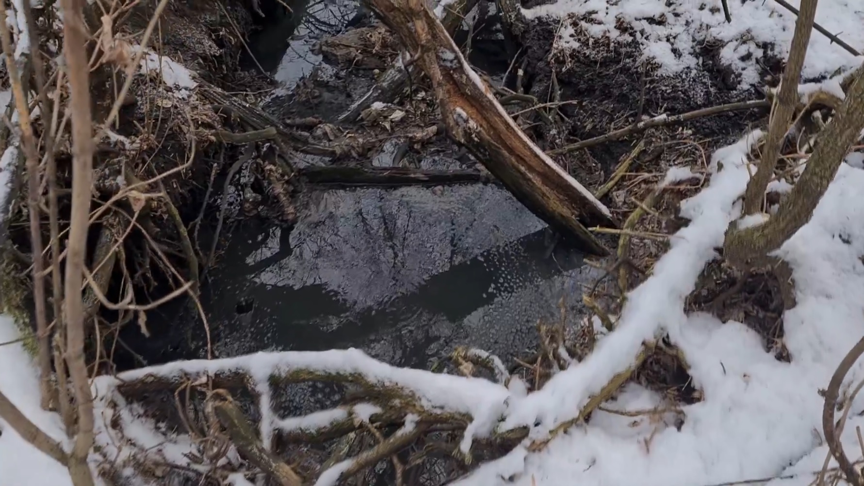 Жители Пензы жалуются на вонь и слив нечистот в реку Пензятку