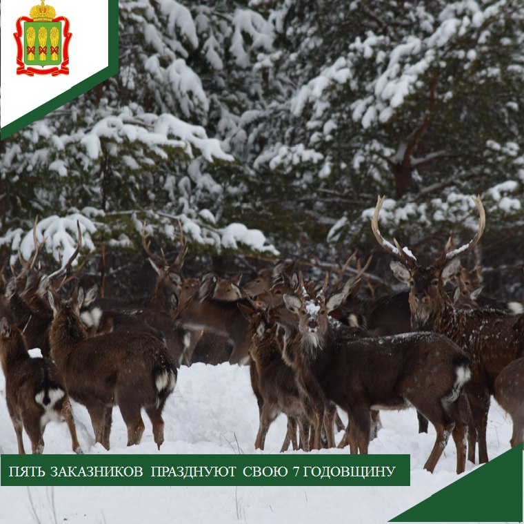 Рысь, филин и орлан-белохвост: кто обитает в пензенских заказниках