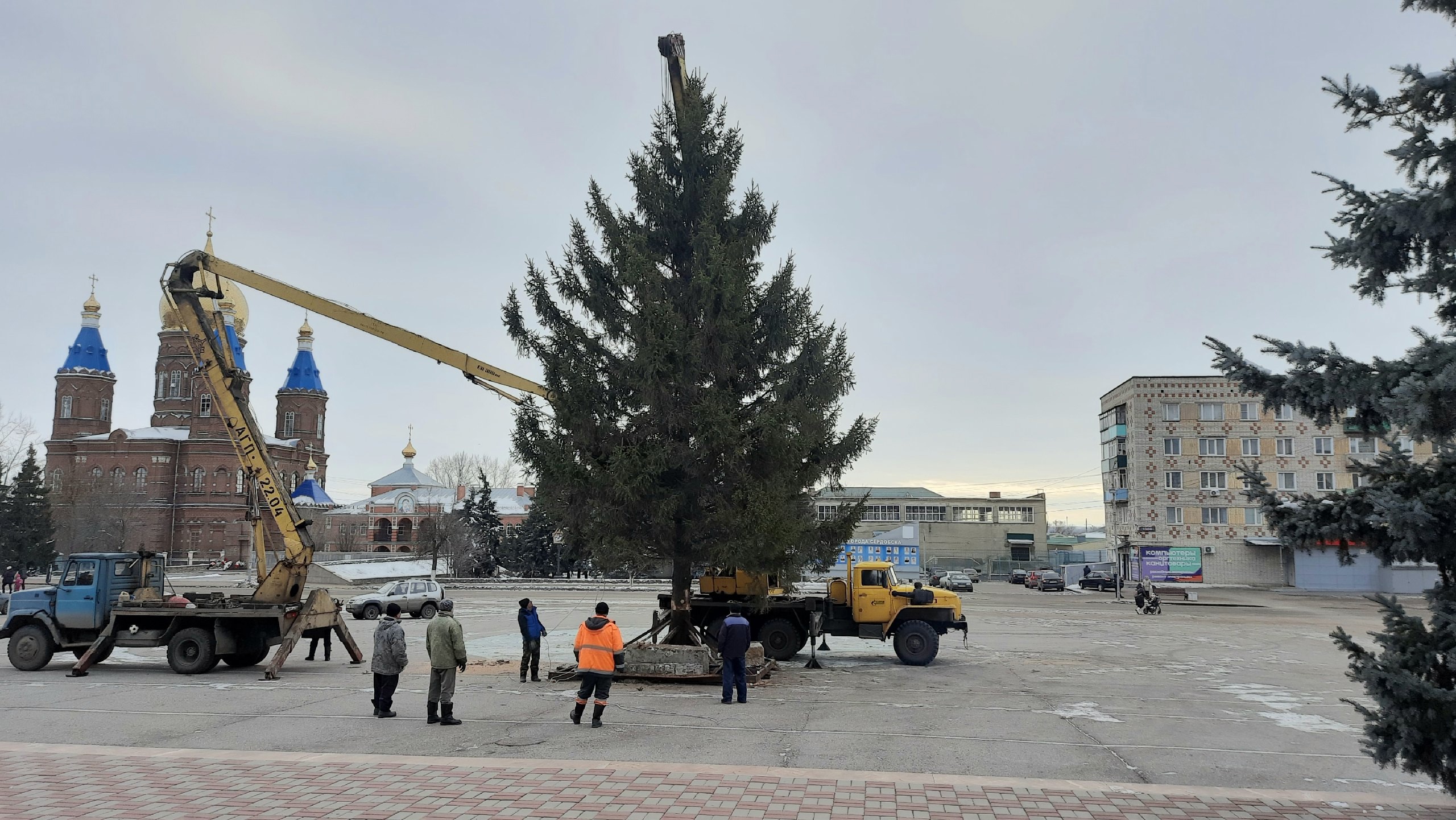 В Сердобске установили на площади новогоднюю елку