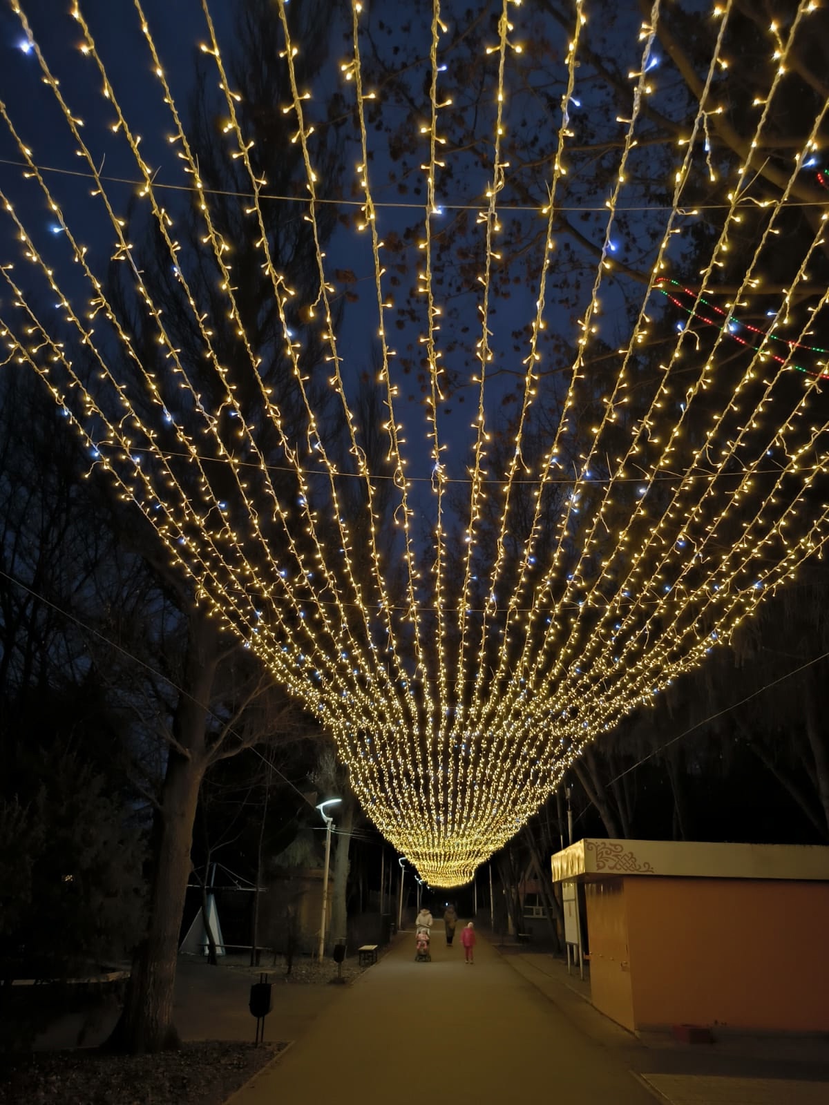 В Кузнецке смонтировали «светящуюся аллею»