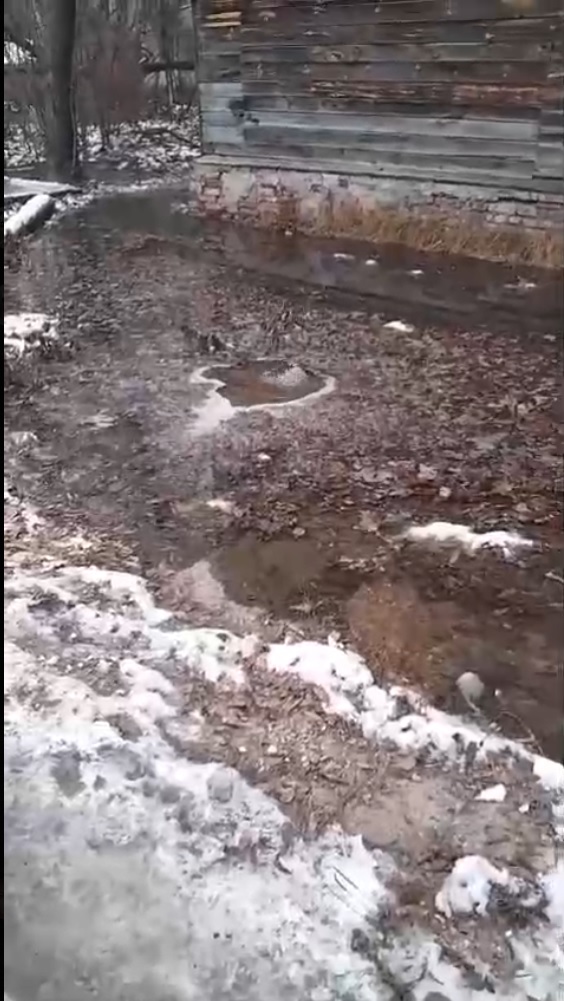 В Пензе дом начал тонуть в болоте из-за утечки