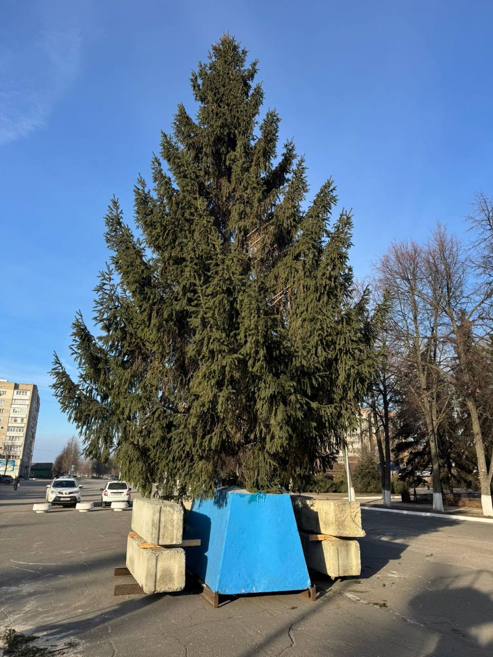 Мэр Кузнецка объяснил, почему на площади установили живую елку