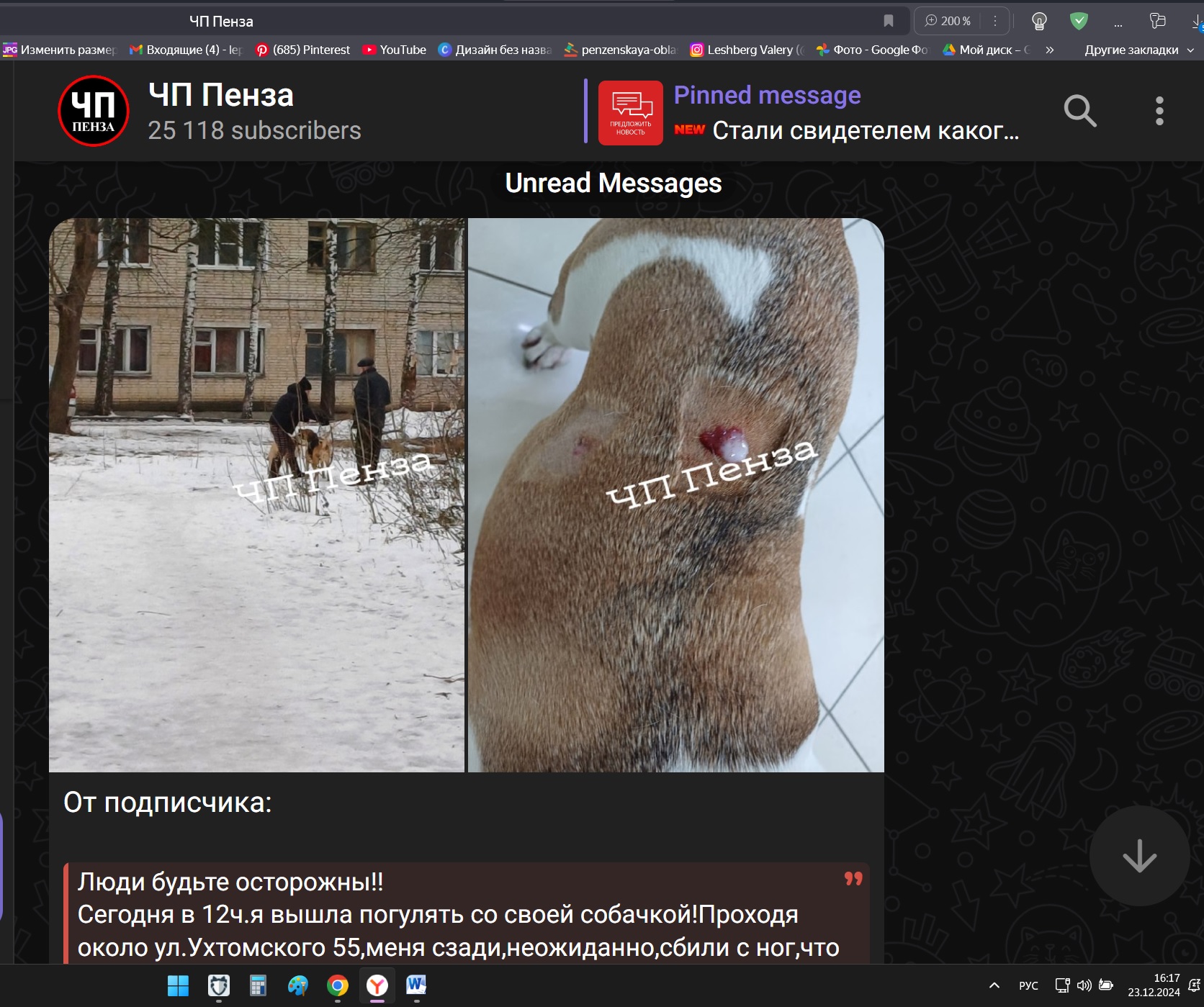 На улице Ухтомского домашние собаки начали охоту за питомцами пензенцев