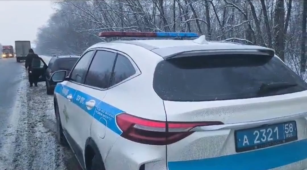 В Мокшанском районе замерзающего на трассе водителя спасли сотрудники ДПС