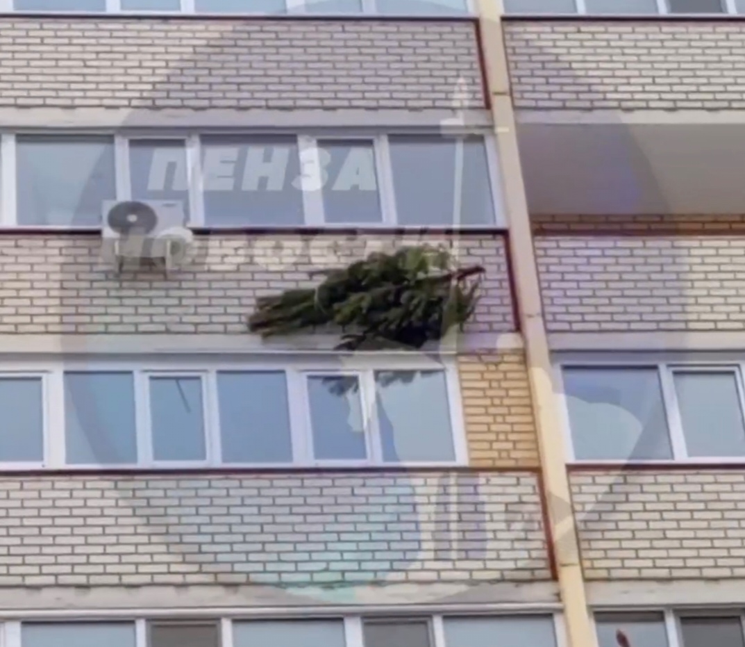 Пензенцы заметили елку, висящую на высоте 8 этажа