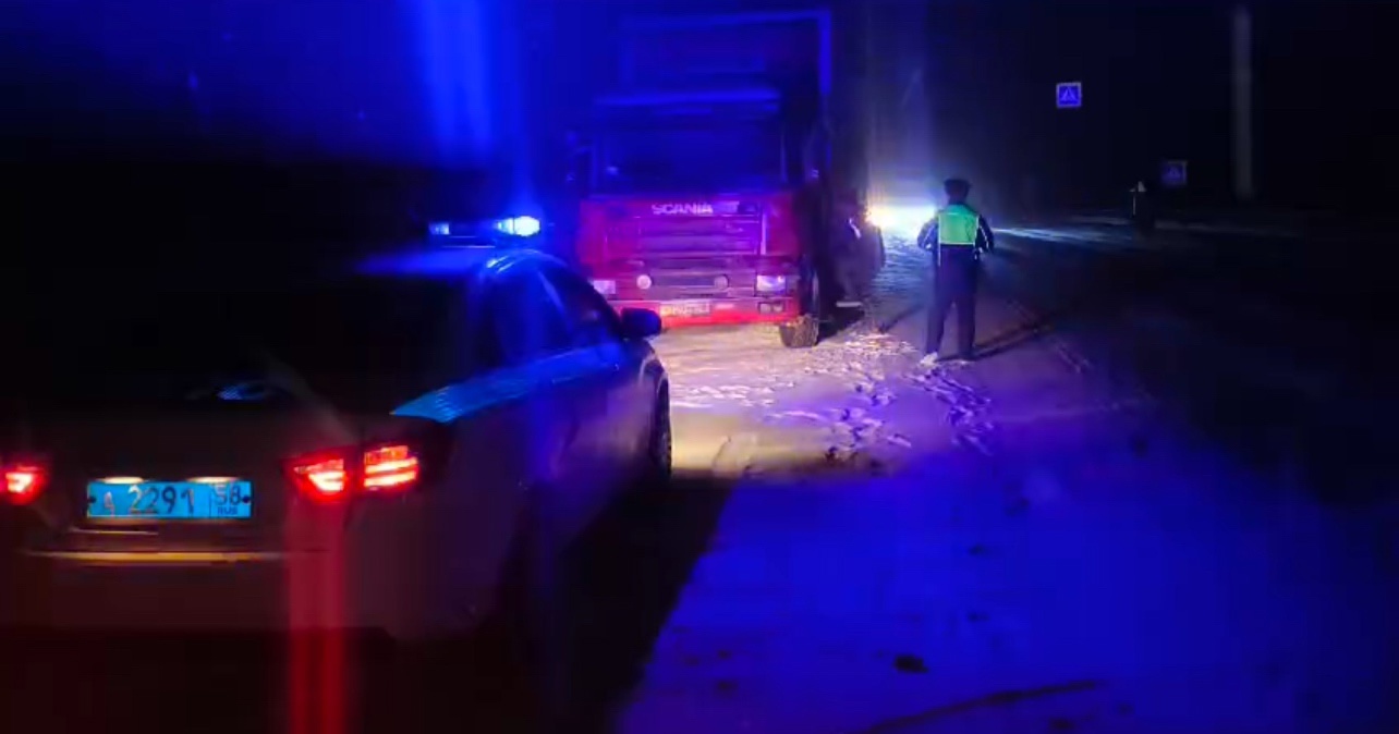 На трассе Тамбов – Пенза водитель фуры рисковал замерзнуть без топлива