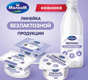 Пензенский "Молком" презентовал новую безлактозную сметану