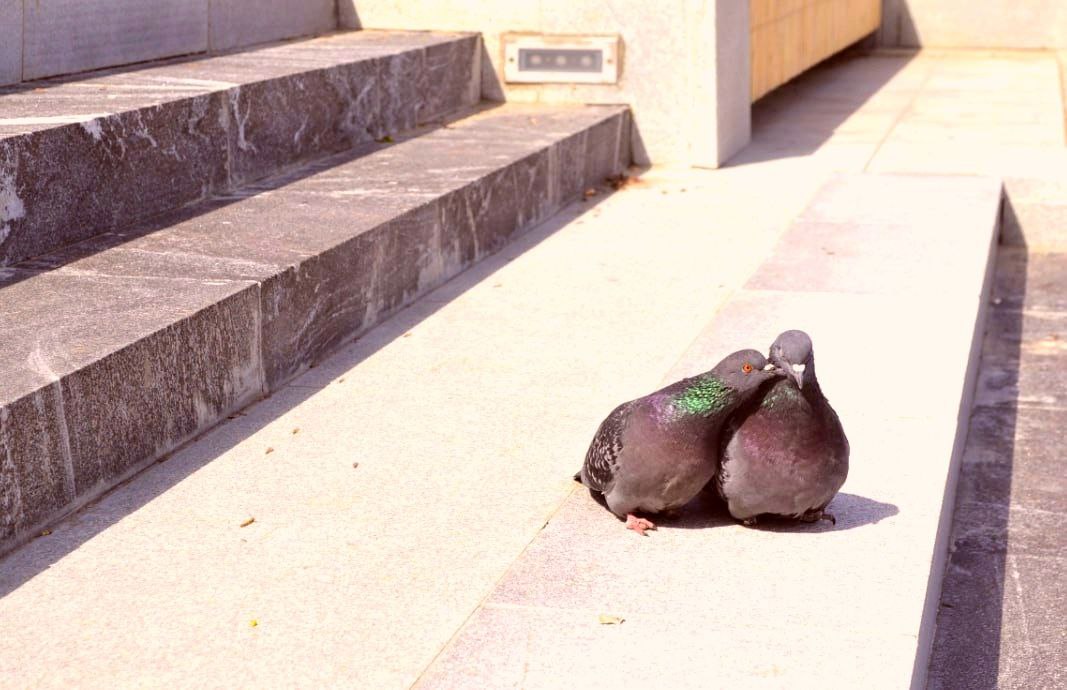 ВЦИОМ: 8 из 10 браков распались в 2024 году