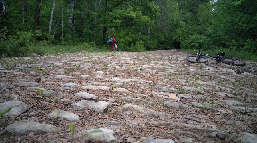 В Пензе ждут принятия мер по сетям, затапливающим нечистотами реку и улицу Совхоз-Техникум