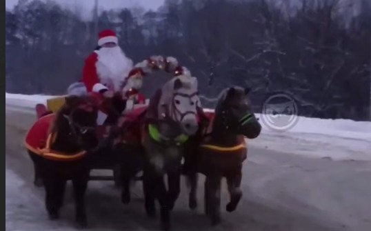 Дед Мороз и Снегурочка прокатились по Терновке на тройке лошадей, восхитив пензенцев