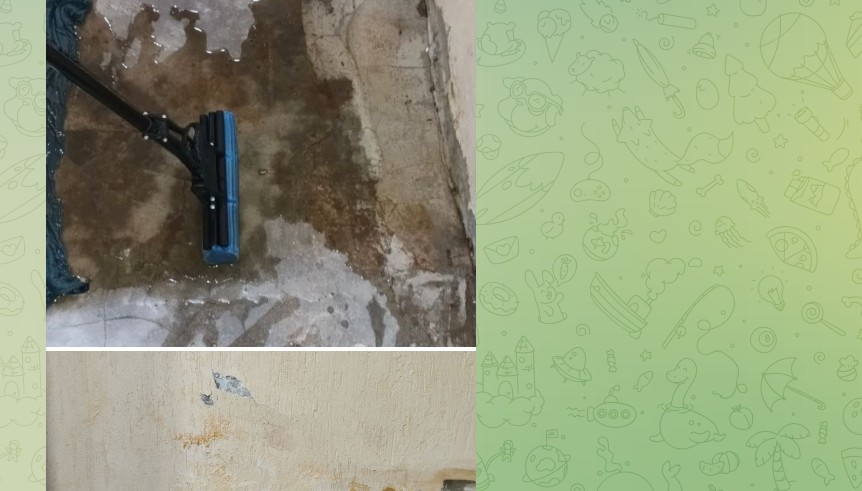 Пензенцы требуют решить проблему с канализацией до Нового года