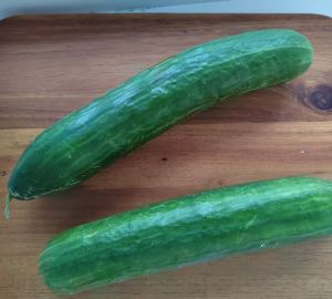 Цена на огурцы может взлететь до 300 рублей за килограмм к началу 2025 года