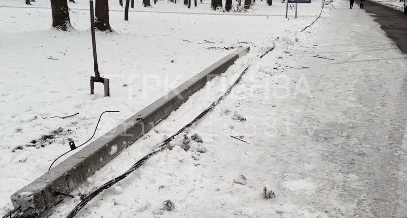 В Пензе на Олимпийской аллее упавшее дерево повредило сети ЛЭП